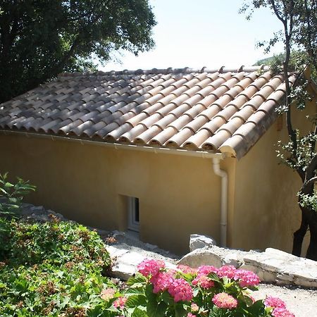 Mas De Courreges Otel Saint-Hippolyte-du-Fort Dış mekan fotoğraf